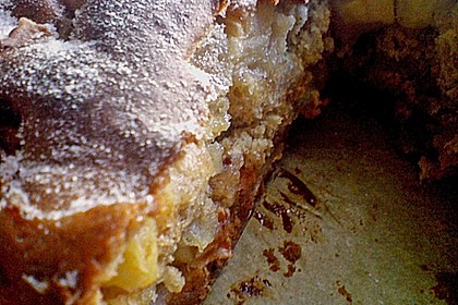 Apfelkuchen mit feinen Gew&uuml;rzen 1