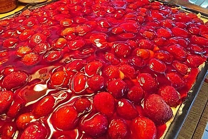 Schmand - Erdbeerkuchen 22