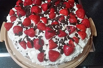 Schmand - Erdbeerkuchen 16