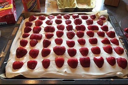 Schmand - Erdbeerkuchen 19