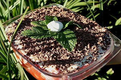 Erdbeer - Tiramisu 10