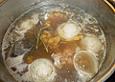 Rillettes de Canard
