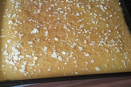 Saftiger Zitronenkuchen 34