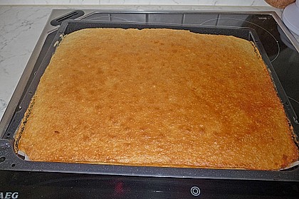 Saftiger Zitronenkuchen 127