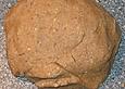 Samsa Pistache