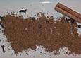 Ras el Hanout