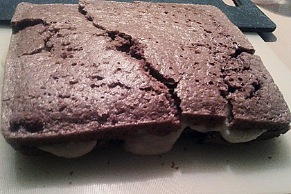 Veganer Biskuit - Grundrezept 17