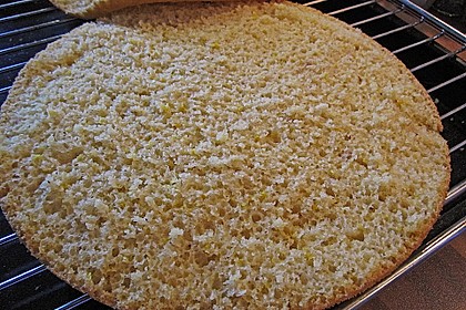 Veganer Biskuit - Grundrezept 1