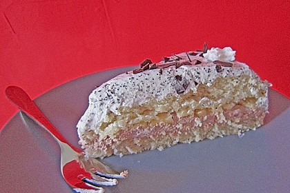 Veganer Biskuit - Grundrezept 4