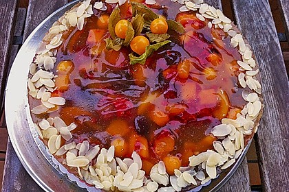 Veganer Biskuit - Grundrezept 6