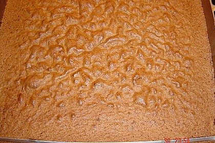 Schoko - Joghurt - Sahne - Kokos - Kuchen 1