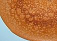 Schoko - Cr&ecirc;pes