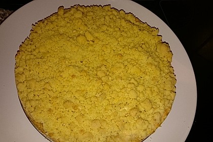 Apfelkuchen mit Rührteig und Streuseln 5