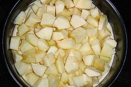 Apfelkuchen mit Rührteig und Streuseln 7