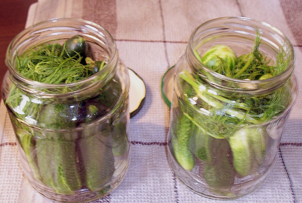 Salzgurken im Glas (Rezept mit Bild) von brisane Chefkoch.de