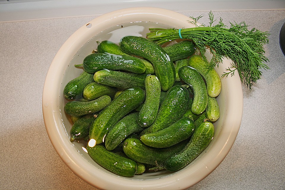 Salzgurken im Glas (Rezept mit Bild) von brisane Chefkoch.de