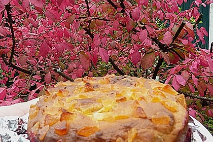Zitronenkuchen 8