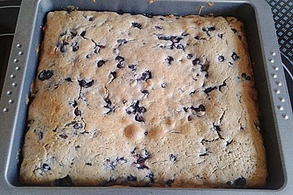 Blueberry - Kuchen 7