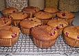Cranberry - Muffins