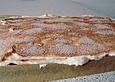 Traumhafter Schmandkuchen