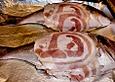 Dorade im Pancetta - Mantel