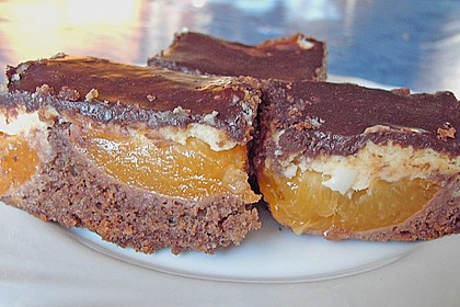 Aprikosen - Schoko - Kuchen 4