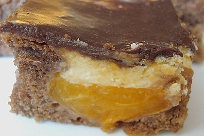 Aprikosen - Schoko - Kuchen 6