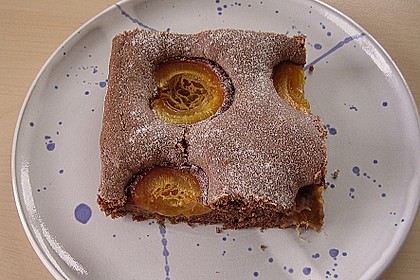 Aprikosen - Schoko - Kuchen 1