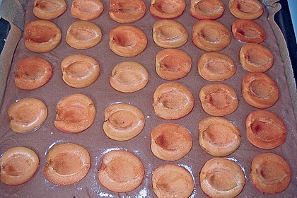 Aprikosen - Schoko - Kuchen 7