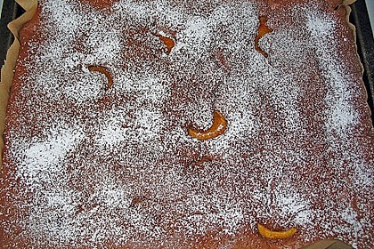Aprikosen - Schoko - Kuchen 5
