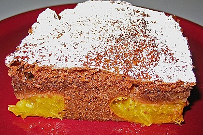 Aprikosen - Schoko - Kuchen 2