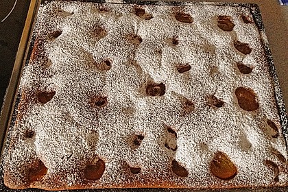 Aprikosen - Schoko - Kuchen 3