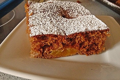 Aprikosen - Schoko - Kuchen