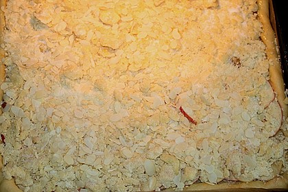 Apfel - Zimt - Streuselkuchen 25
