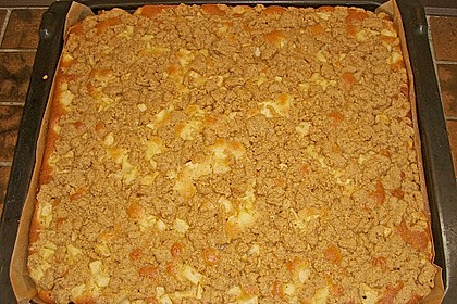 Apfel - Zimt - Streuselkuchen 12