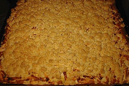 Apfel - Zimt - Streuselkuchen 20