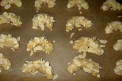 Mandelhörnchen 65