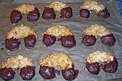 Mandelhörnchen 16