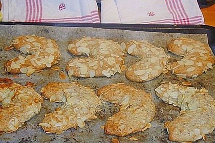 Mandelhörnchen 36