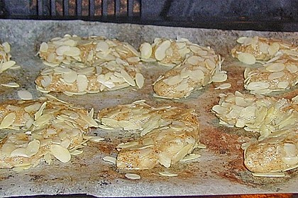 Mandelhörnchen 67