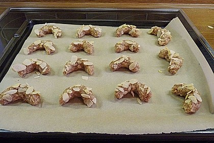 Mandelhörnchen 35