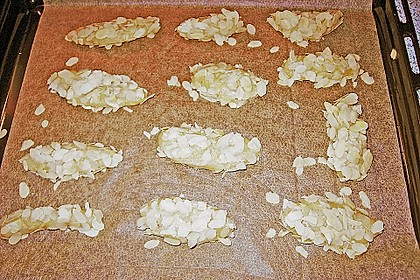 Mandelhörnchen 71