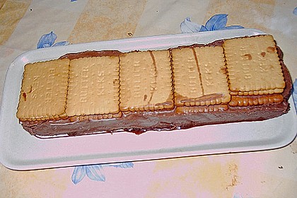 Kalte Schnauze