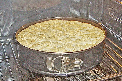 Apfel - Kr&uuml;mmelkuchen 9