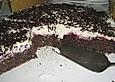 Preiselbeer - Sahne - Torte