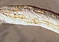 Milwaukee - Brot