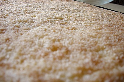Buttermilch-Kokos-Kuchen 65