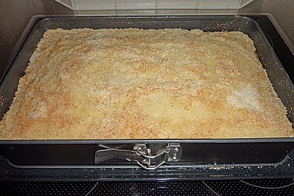 Buttermilch-Kokos-Kuchen 41