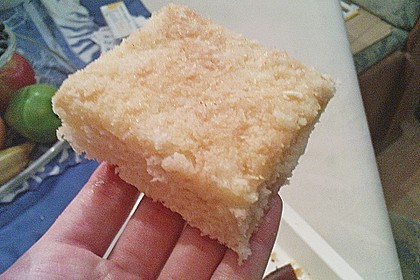 Buttermilch-Kokos-Kuchen 73
