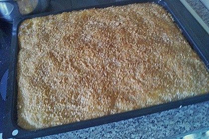 Buttermilch-Kokos-Kuchen 76